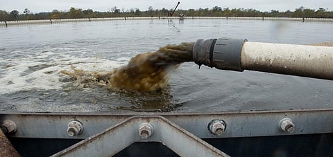 Some 50 per cent of nitrogen is lost to the environment in water run-off from fields and gas emissions from soil microbe metabolism. Credit: USDA / Flicker