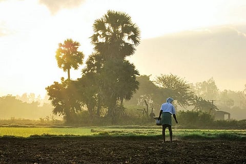 Experts think this is where demonetisation is going to wash away the benefits of a normal monsoon after three years.
Credit: Gokulnath/Flickr