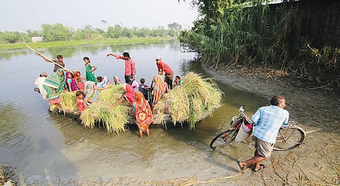 सहरसा में पूर्वी तटबंध
के बाहर बेलवारा
पुनर्वास गांव जाने के
लिए यह धारा पार करनी
पड़ती है। इस धारा के
कोसी को मिलाने के लिए
जो स्लूस गेट बनाया गया
था, वह ध्वस्त हो चुका
है। इसलिए यह धारा
कोसी में नहीं मिल पाती