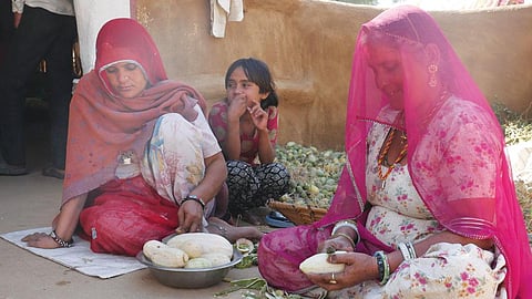 गोदारों की ढाणी (बीकानेर) में काचर और काकडिया काट रहीं महिलाएं। इन फलों को सुखाकर रखा जाएगा ताकि बाद में बाजार में बेचा जा सके।