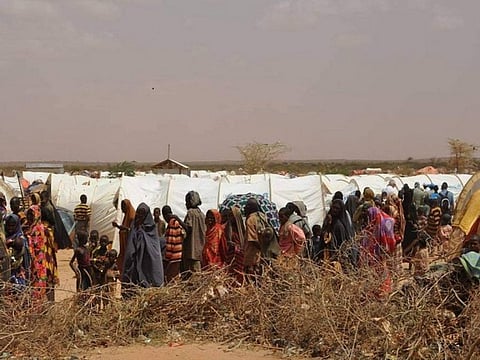 El Niño, along with low rainfall during a critical season, poses renewed risks, especially for pastoral communities in Ethiopia
Credit: DFID