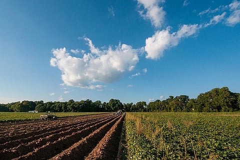 Worldwide, around 90 per cent of farms are either operated by an individual or a family
Credit: U.S. Department of Agriculture/Flickr