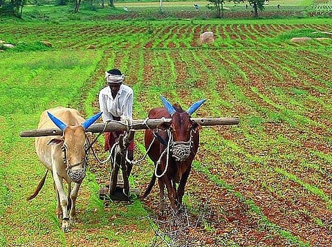 Will the Budget 2017 be successful in helping distressed farmers (Credit: Ananth BS/Flickr) 