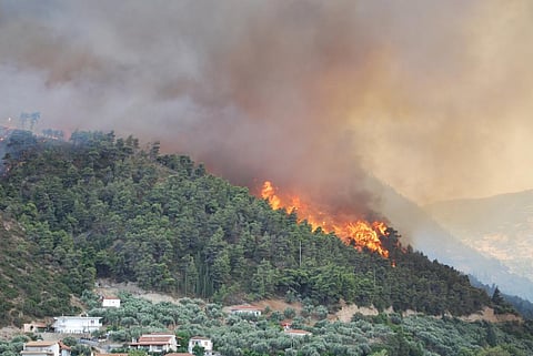 US experienced a much higher proportion of fire events turning into disasters than any other country in the study. Credit: Lotus R/ Flicker