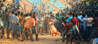 Photo: Thaya Nanth