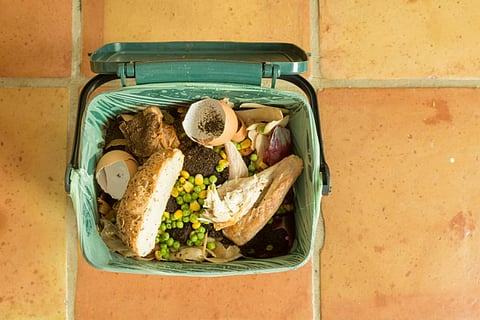 We consume 10 per cent more food than we need and throw away 9 per cent of the edibles (Credit: iStock)