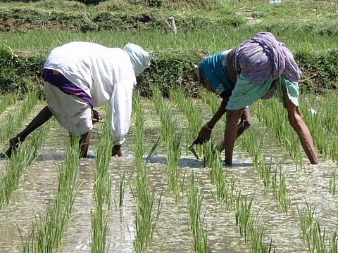 Due to El Nino, the southwest monsoon in 2014 and 2015 witnessed a deficit of 11 and 14 per cent respectively Credit: Ramon Casha / Flicker