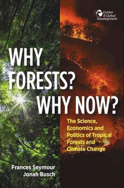 WHY FORESTS? WHY NOW?
THE SCIENCE, ECONOMICS AND POLITICS OF TROPICAL FORESTS AND CLIMATE CHANGE
Frances Seymour and Jonah Busch
Center for Global Development |
429 pages | $24.95