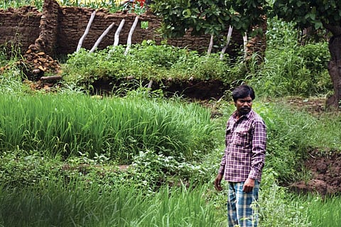 Nandlal Baiga used the compensation money to buy a motorcycle and a diesel pump for irrigating his field. He has returned to the forest after having stayed at a rehabilitation colony for over a year