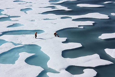 This winter, a combination of warmer-than-average temperatures, winds unfavorable to ice expansion and a series of storms halted sea ice growth in the Arctic
Credit: NASA Goddard Space Flight Center/Flickr