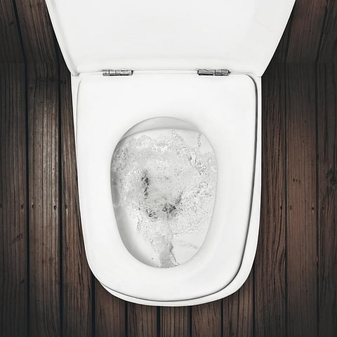 The invention of flush toilets increased the volume of waste from toilet by almost 20-fold (Credit: iStock) 