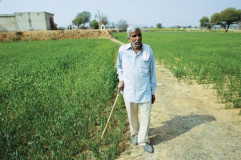 Raghuvir Singh of Sikar says that
for the first time in two years he
has earned a profit of over R1 lakh
through farming (Photos: Vikas Choudhary)