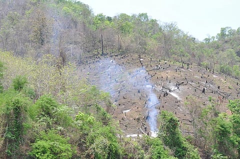 The Amazon region has lost about 9,000 square kilometres to deforestation between 2008 and 2012. Credit: shankar s. / Flicker 