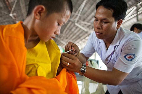 Influenza vaccines will only work against the specific strains of flu they were designed for. Credit: CDC Global / Flicker