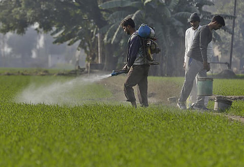 Whereever fertilizers are subsided, the regulation of the fertilizer use is the biggest challenge
Credit: Vikas Choudhary