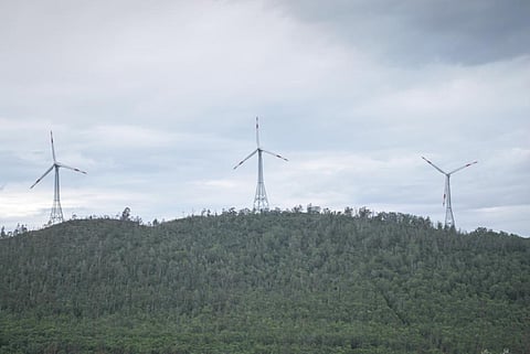 Wind sector contributes 57 per cent of India’s renewable energy (Credit: iStock) 