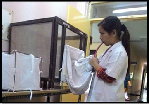 Setup of the experiment 
