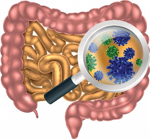 individual microbes could influence the behaviour of their host to improve their own chances of evolutionary survival (Credit: Thinkstock)