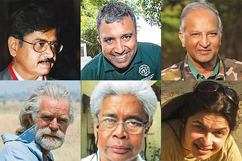 Should conservation be privatised?