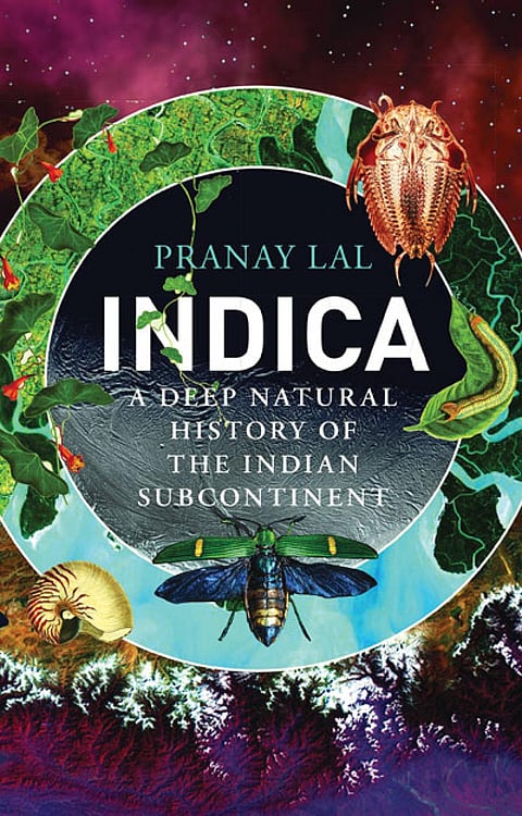 INDICA: A DEEP NATURAL HISTORY OF THE INDIAN SUBCONTINENT
Pranay Lal | Penguin Random House
468 pages | Rs 611.19