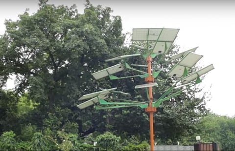 The vertical solar plant makes it possible to harness 10 per cent more sunlight (Credit: Down To Earth) 