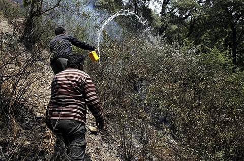 Forests undergo transformation due to global warming and large-scale fires. Credit: Vikas Choudhary / CSE