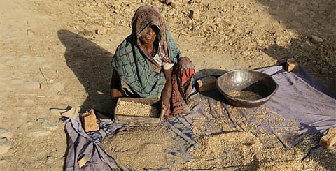An agrarian crisis like never before