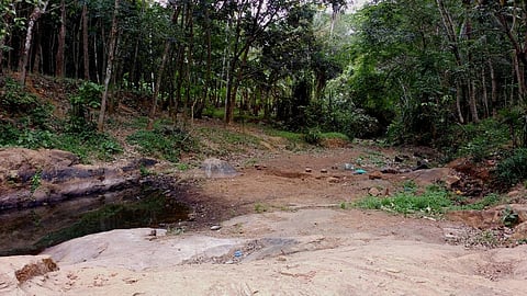 The stream with no flow of water in April 2017 (Author provided) 