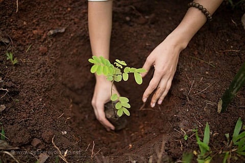 Soil pollution is an insidious risk because it is harder to observe than some other soil degradation processes, such as erosion
Credit: World Peace Initiative/Flickr