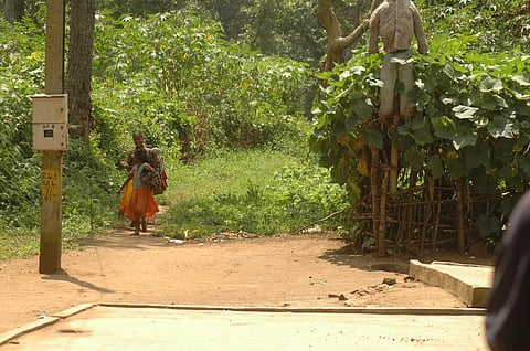 Incidences of human-wildlife conflict continue to affect those who live on the periphery of forests (Credit: Agnimirh Basu/CSE)