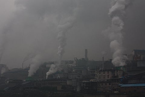 The plant was allegedly cleared without the consideration for environmental and social implications of the project. Credit: Wikimedia Commons