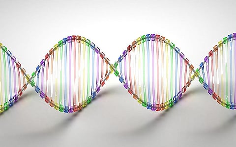 There is less genetic variation because these subpopulations have lived in genetic isolation (Credit: Caroline Davis/Flickr)