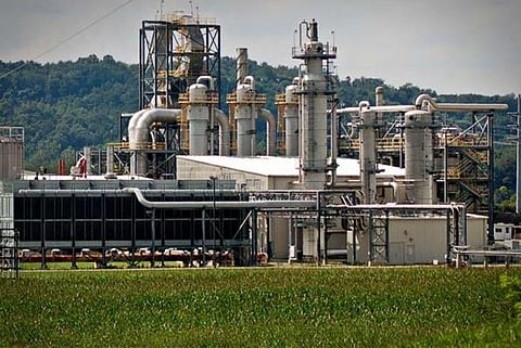 The EIA report does not mention the presence of a reserved forest near the biorefinery (Credit: USDA/Flickr)