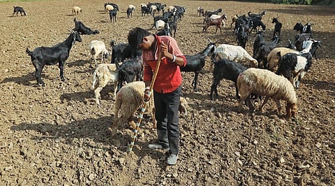 Credit: Reuters