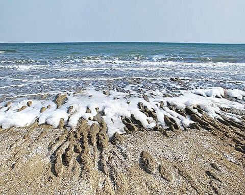 Increased evaporation, coupled with reduced groundwater inflow and precipitation, has led to the foaming of water.  (Photographs: Neha Mungekar)