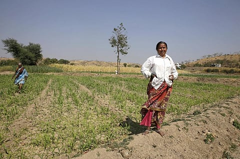 NITI Aayog action plan calls for reforming Agricultural Produce Marketing Committees acts so that farmers can sell their produce to whomsoever they wish. Credit: Vikas Choudhary / CSE