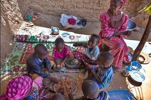 Some 155 million children aged under five are stunted while 52 million suffer from wasting
Credit: FAO/Andrew Esiebo