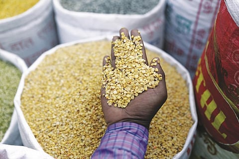 खाद्य सुरक्षा के साथ पोषण सुरक्षा भी जरूरी 