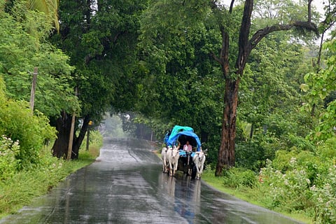IMD predicts that rainfall is likely to fall within 89 per cent to 111 per cent of the average rainfall of 332.1 mm. Credit: Wikimedia Commons