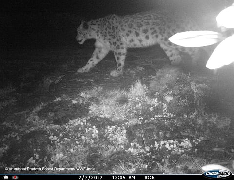 Credit: Arunachal Pradesh Forest Department and WWF-India