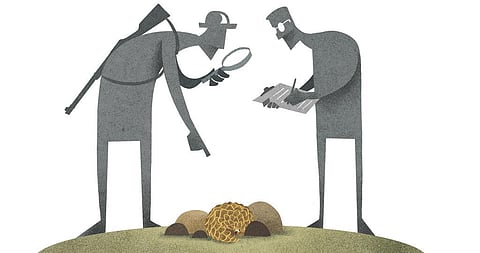 Illustration: Tarique Aziz