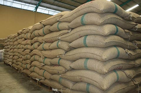 About 41 per cent of commodity dependent developing countries predominantly export agricultural products. Credit: Pixabay