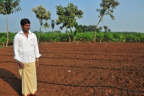 Farmers, after a concession period of 15 years, would bear all the operation and maintenance costs, as fixed by the private player and the government under micro irrigation
Credit: Meeta Ahlawat