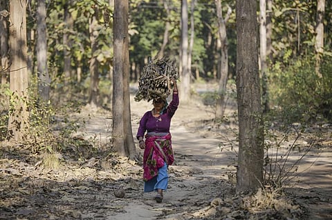 Forest-dwelling communities are granted rights under the Forest Rights Act (Credit: Vikas Choudhary/CSE) 