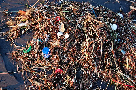 Future of plastics: reusing the bad and encouraging the good