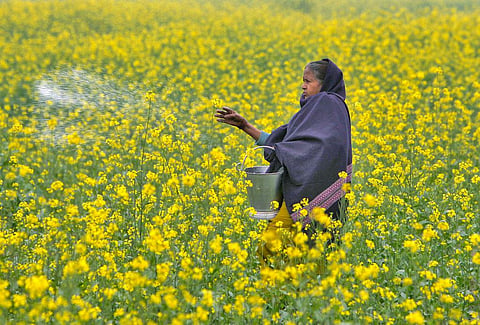 Photo: Reuters