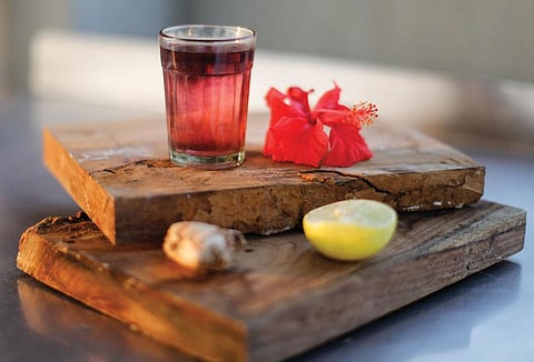 Hibiscus tea has been found to reduce blood glucose levels and is used to treat peptic ulcers (Photo: Vikas Choudhary)