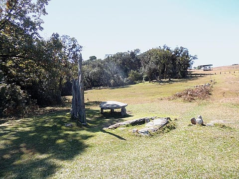 The monolith at
the entrance of
the Mawphlang
sacred grove
where elders
seek permission
before
performing
sacrificial
rituals