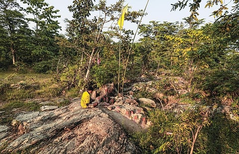 A sarna sthal
at Lupunguttu
village in West
Singhbhum
district. One
has to cross the
swirling Roro
river over
a tree branch
to reach here