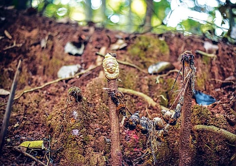 Chowdamma or
mother goddess is
the presiding deity
of Mattigar sacred
grove in Siddapur
block of Uttara
Kannada district